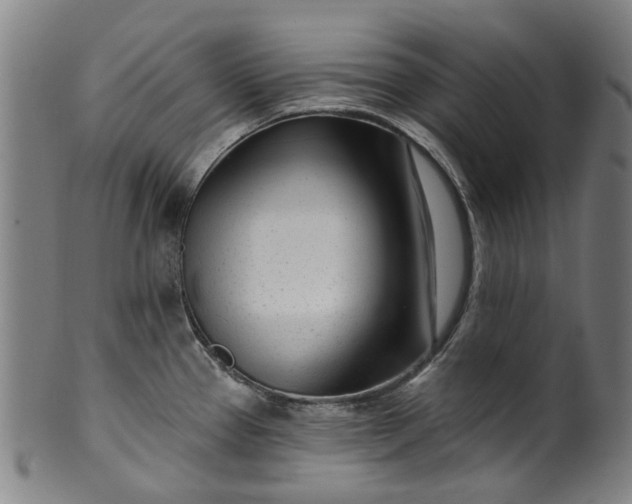 X0000099961337200806061557
