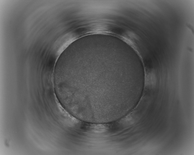 X0000099961338200806061557
