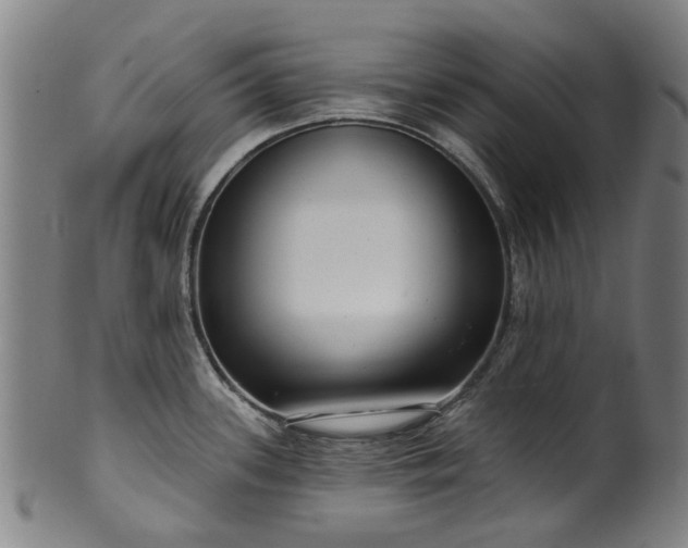 X0000099961339200806061557