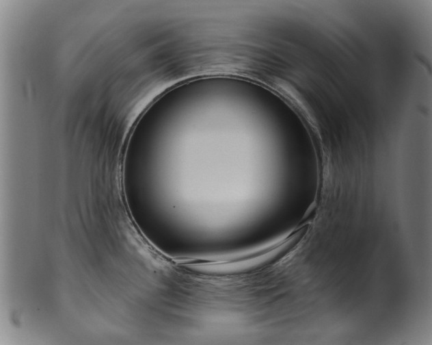X0000099961340200806061557