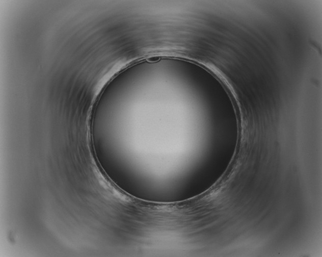X0000099961341200806061557