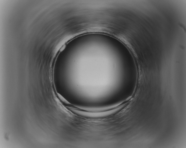 X0000099961342200806061557
