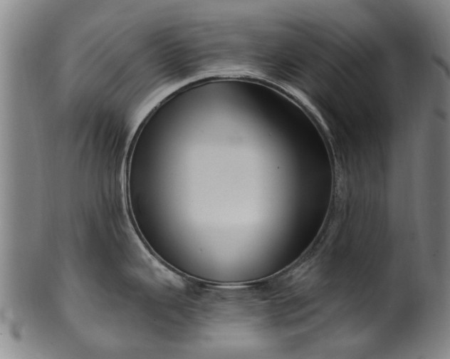 X0000099961343200806061557