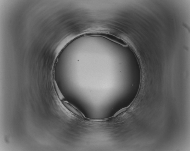 X0000099961344200806061557