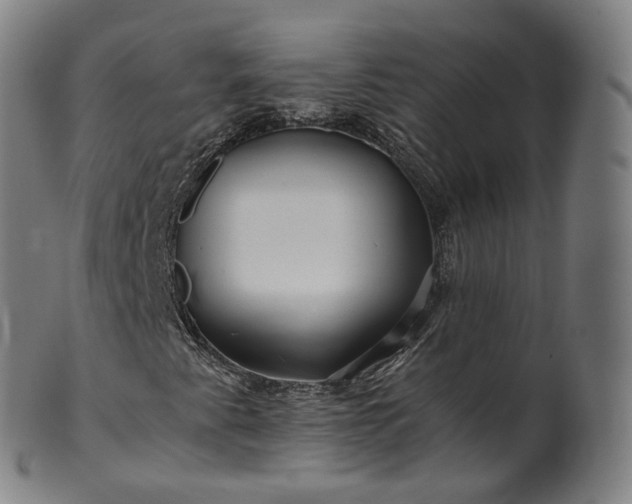 X0000099961345200806061556