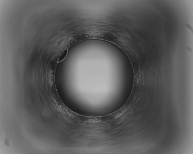 X0000099961346200806061556
