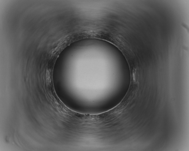 X0000099961347200806061556