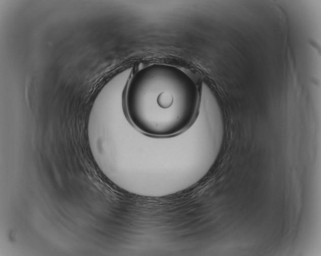 X0000099961348200806061556