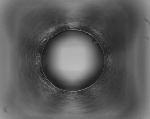 X0000099961349200806061556
