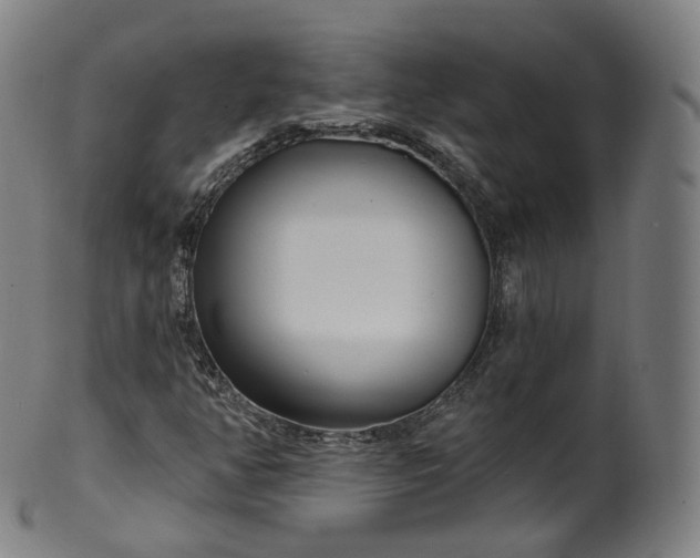 X0000099961350200806061556