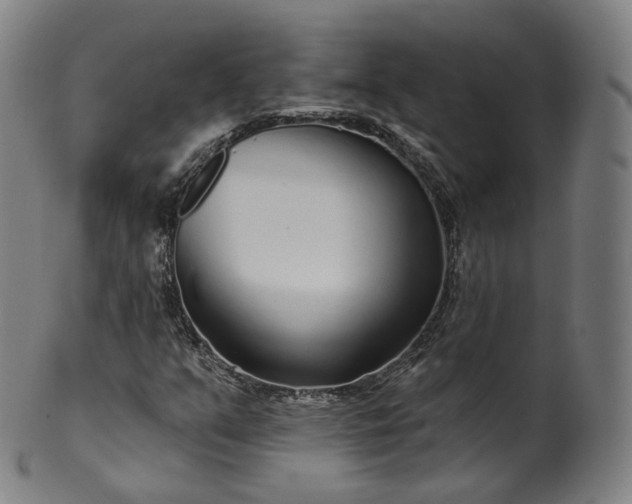 X0000099961351200806061556
