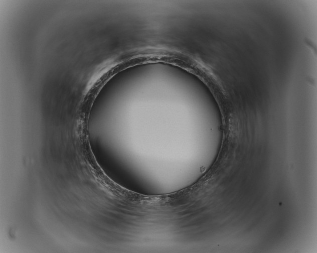 X0000099961352200806061556