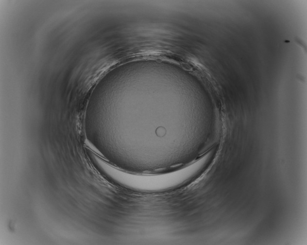 X0000099961353200806061556