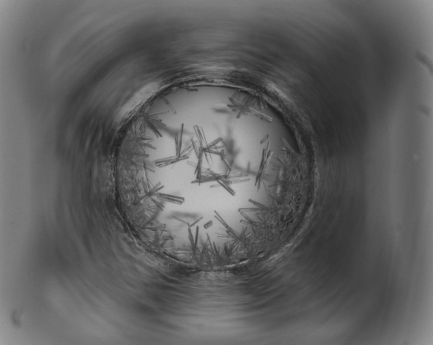 X0000099961354200806061556