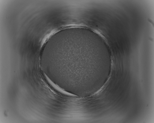 X0000099961357200806061556