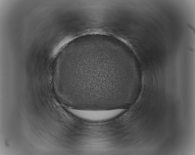 X0000099961359200806061556