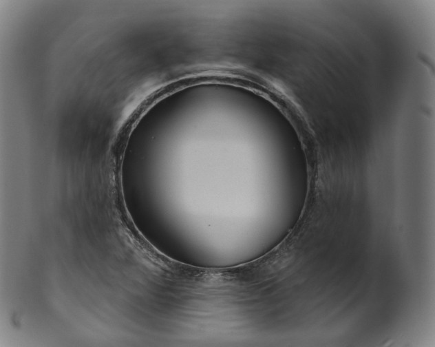 X0000099961360200806061556