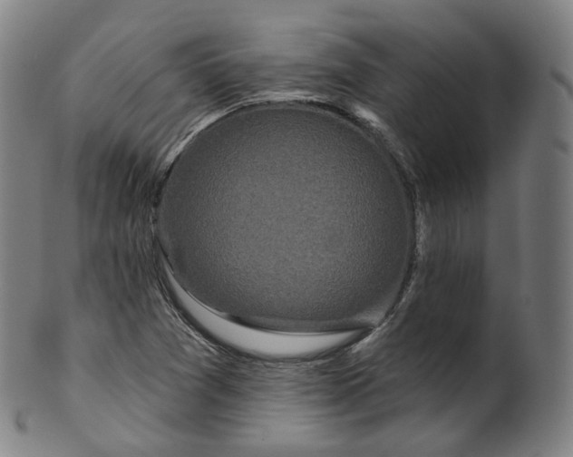 X0000099961361200806061556
