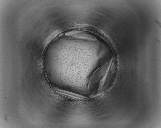 X0000099961362200806061556