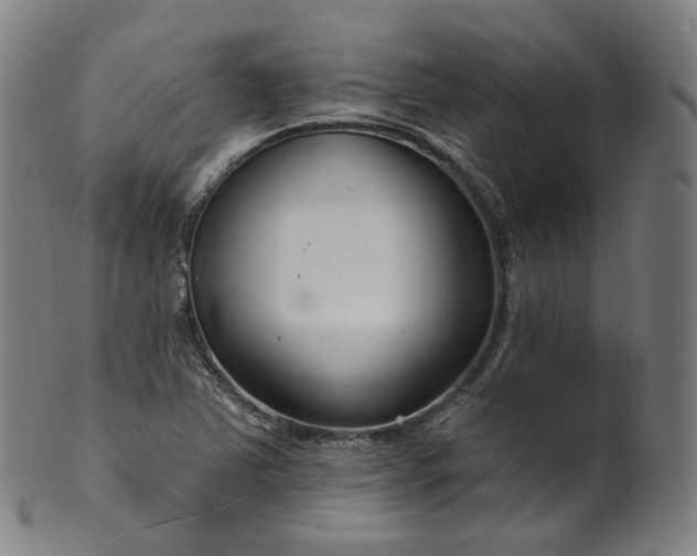 X0000099961363200806061556