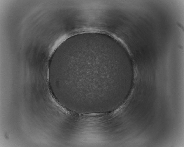 X0000099961365200806061556