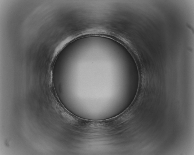 X0000099961366200806061556