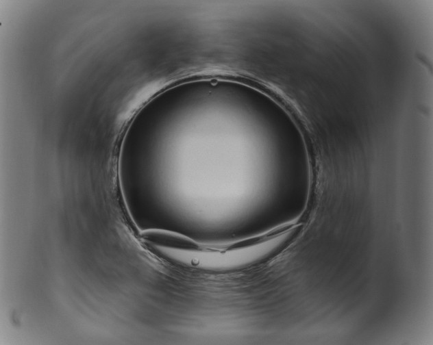 X0000099961367200806061556