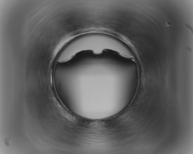 X0000099961368200806061556