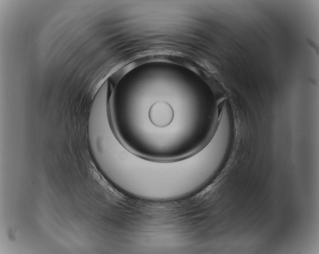 X0000099961369200806061556