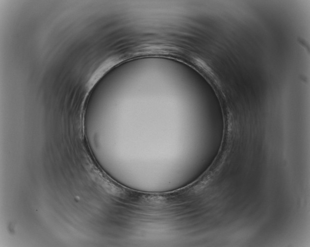 X0000099961370200806061556