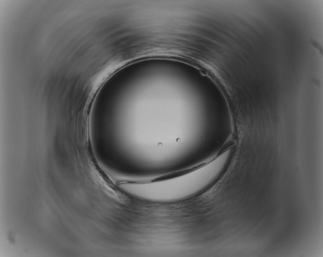 X0000099961371200806061556