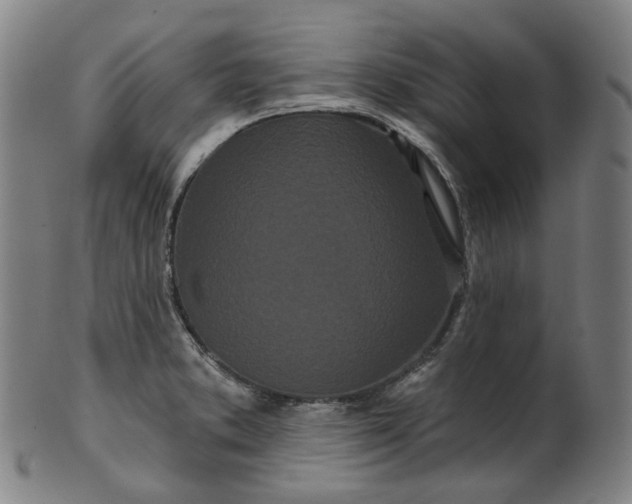 X0000099961373200806061556