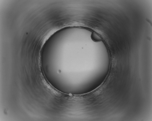 X0000099961374200806061556