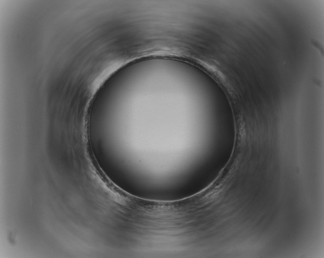 X0000099961375200806061556