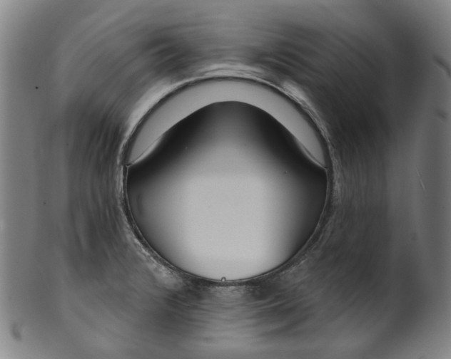 X0000099961376200806061556