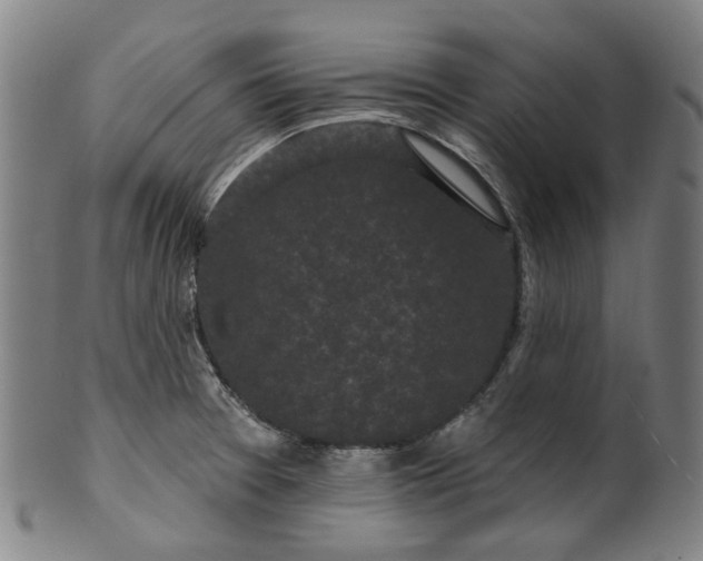 X0000099961377200806061556