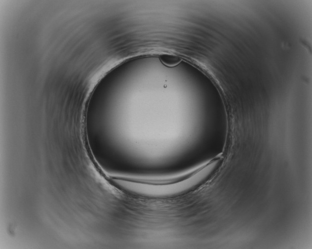 X0000099961379200806061556