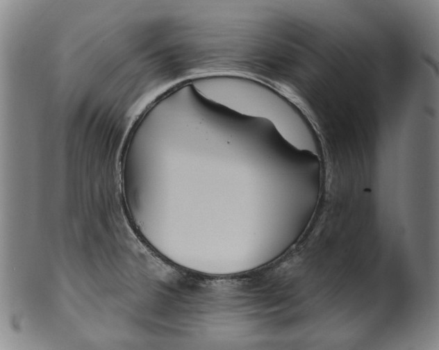 X0000099961380200806061556