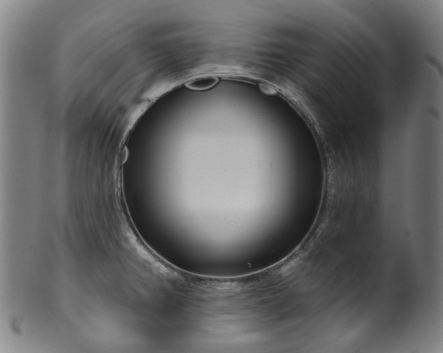 X0000099961382200806061556
