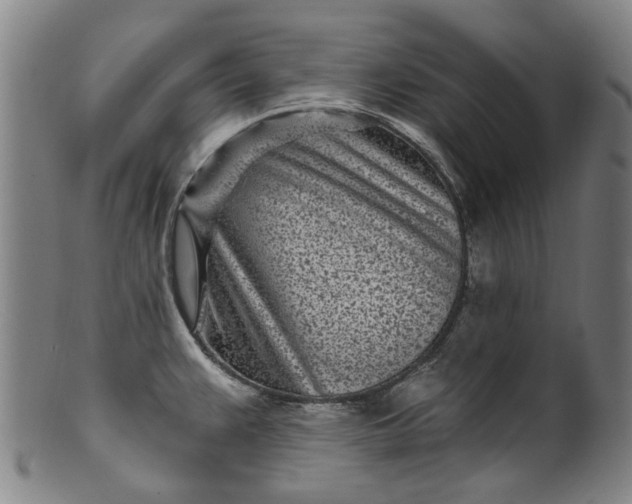 X0000099961383200806061556