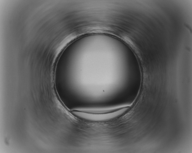 X0000099961384200806061556