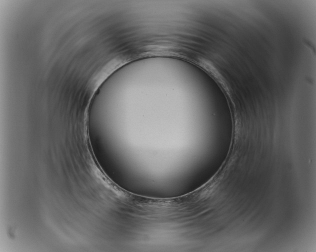 X0000099961386200806061556