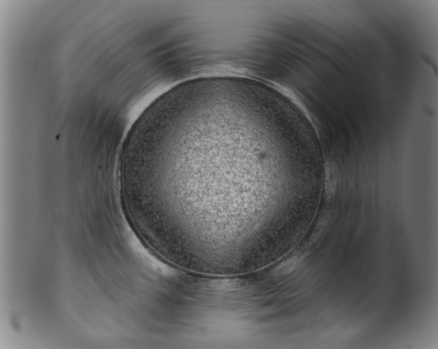 X0000099961387200806061556