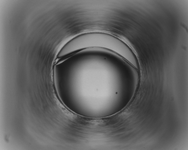 X0000099961388200806061556