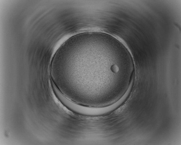 X0000099961389200806061556