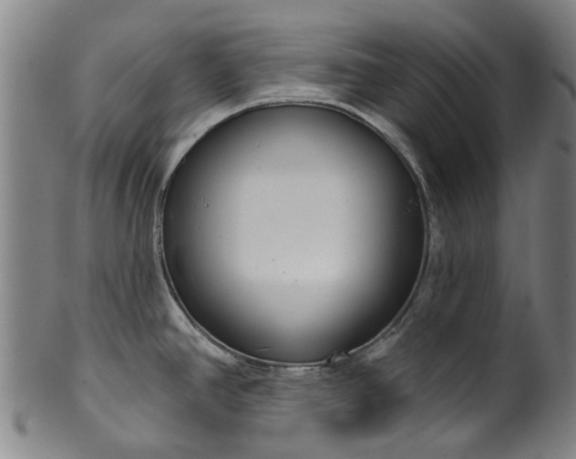 X0000099961390200806061556