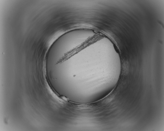 X0000099961391200806061556