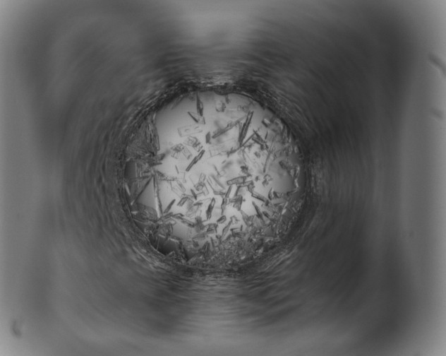 X0000099961393200806061555