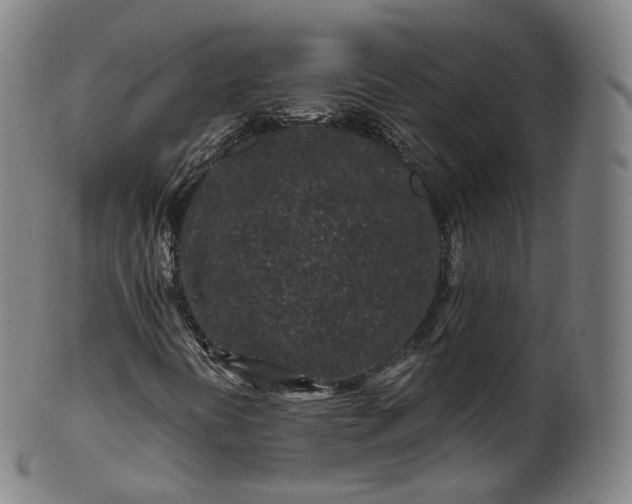 X0000099961394200806061555