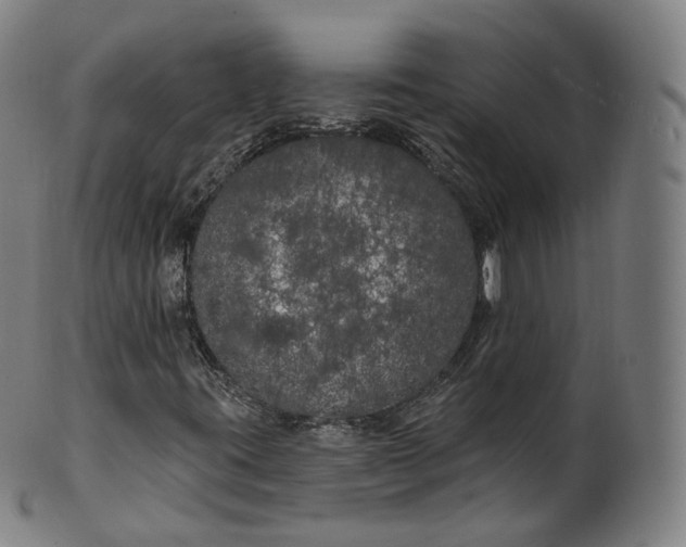 X0000099961395200806061555